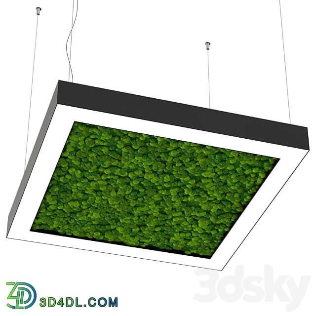 Pendant light - Bone light square with moss OM