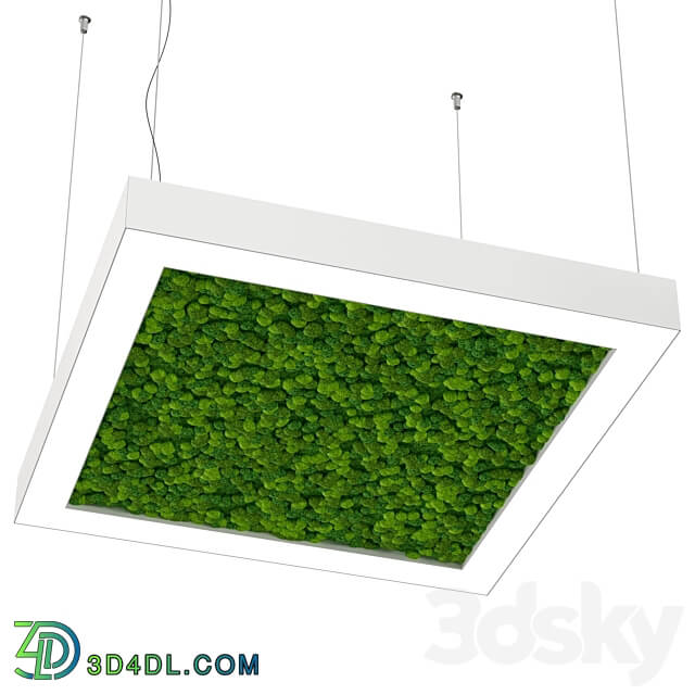 Pendant light - Bone light square with moss OM