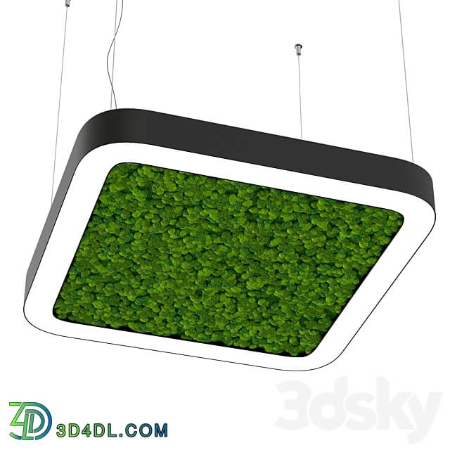 Pendant light Bone light with moss