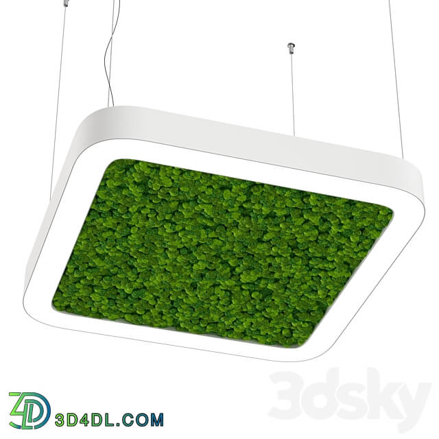 Pendant light Bone light with moss