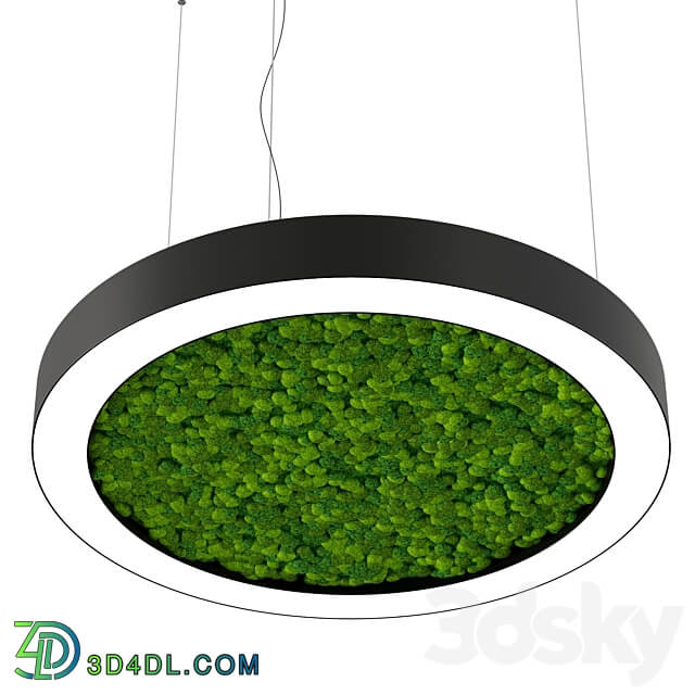 Pendant light - Bone light ring with moss OM