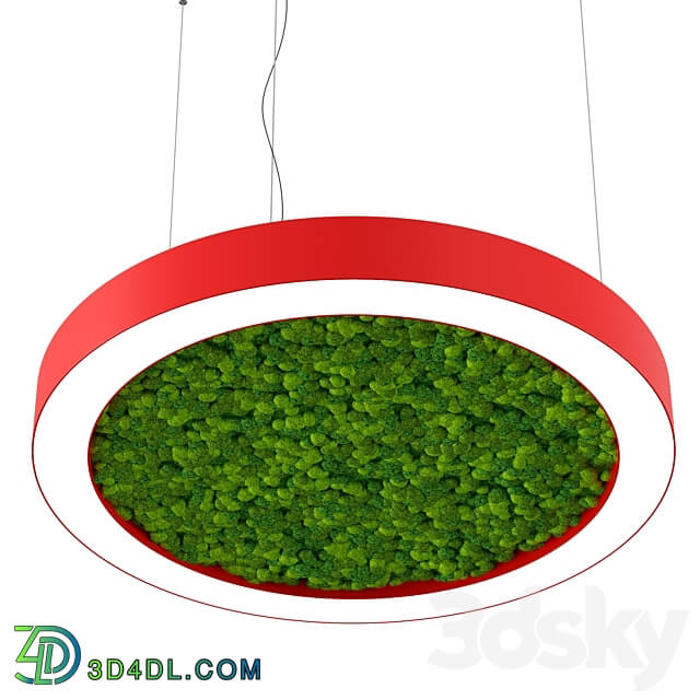 Pendant light - Bone light ring with moss OM