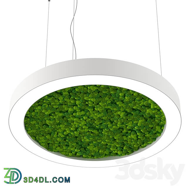 Pendant light - Bone light ring with moss OM