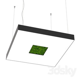 Pendant light - Bone light square with hole small OM 
