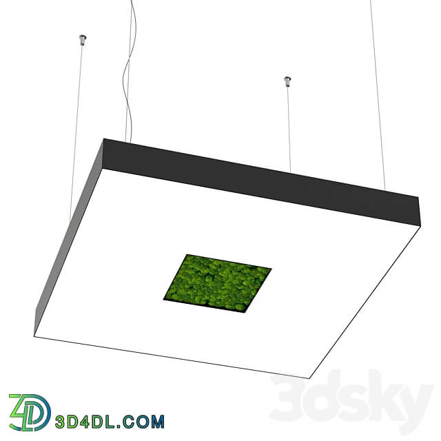 Pendant light - Bone light square with hole small OM