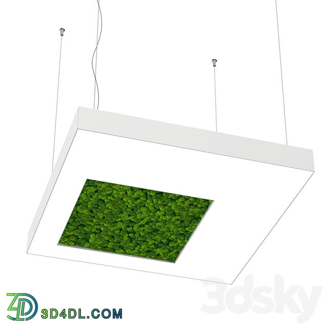 Pendant light - Bone light square with hole with large moss OM