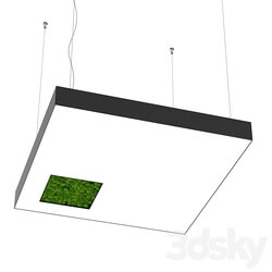 Pendant light - Bone light square with hole with moss OM 
