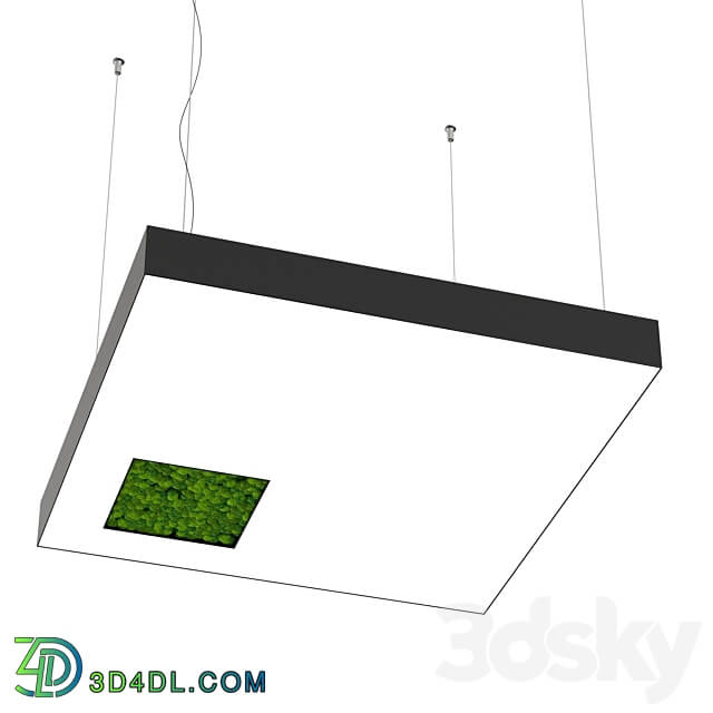 Pendant light - Bone light square with hole with moss OM