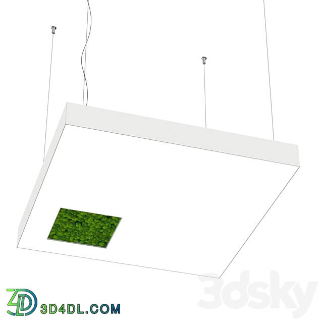 Pendant light - Bone light square with hole with moss OM