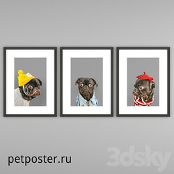 PetPoster posters 