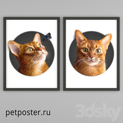 PetPoster posters 