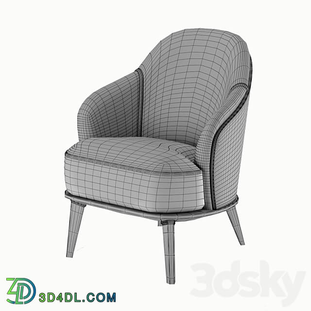 Arm chair - Armchair