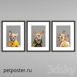 PetPoster posters 