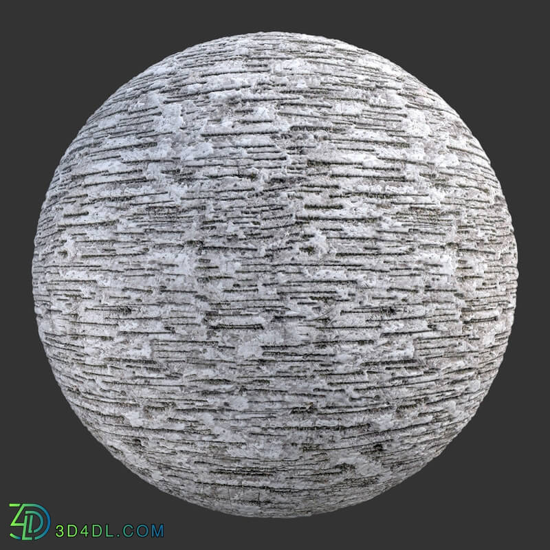 Poliigon Bark Birch _texture_ - -001