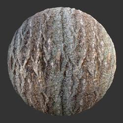 Poliigon Bark Brown _texture_ - -010 