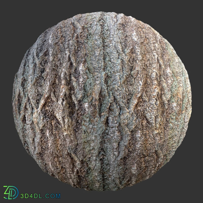 Poliigon Bark Brown _texture_ - -010