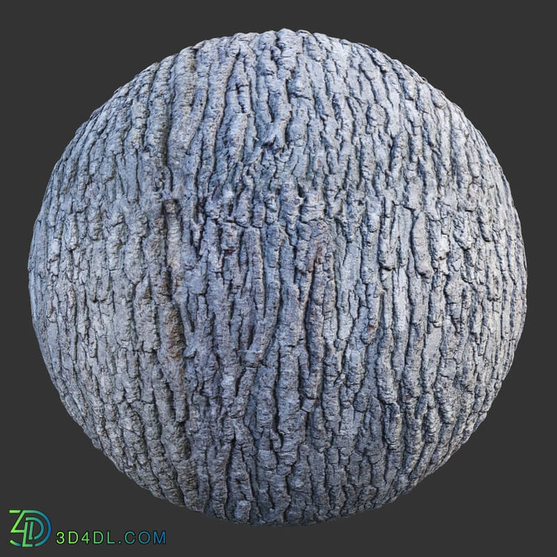 Poliigon Bark Brown _texture_ - -012