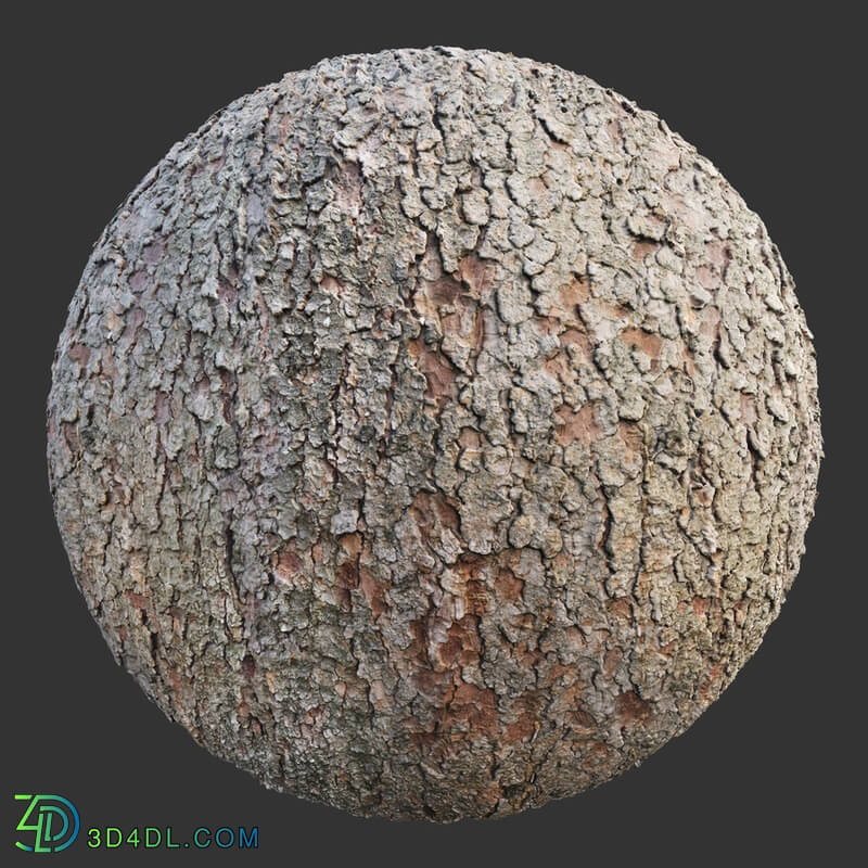 Poliigon Bark Brown _texture_ - -013