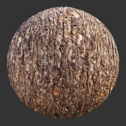 Poliigon Bark Brown _texture_ - -014 