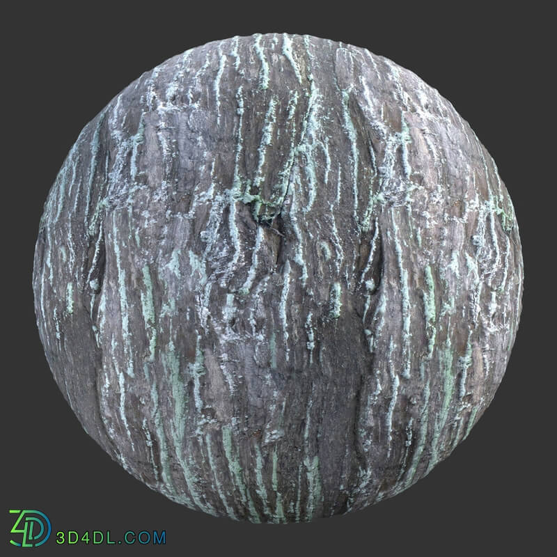 Poliigon Bark Deciduous _texture_ - -005