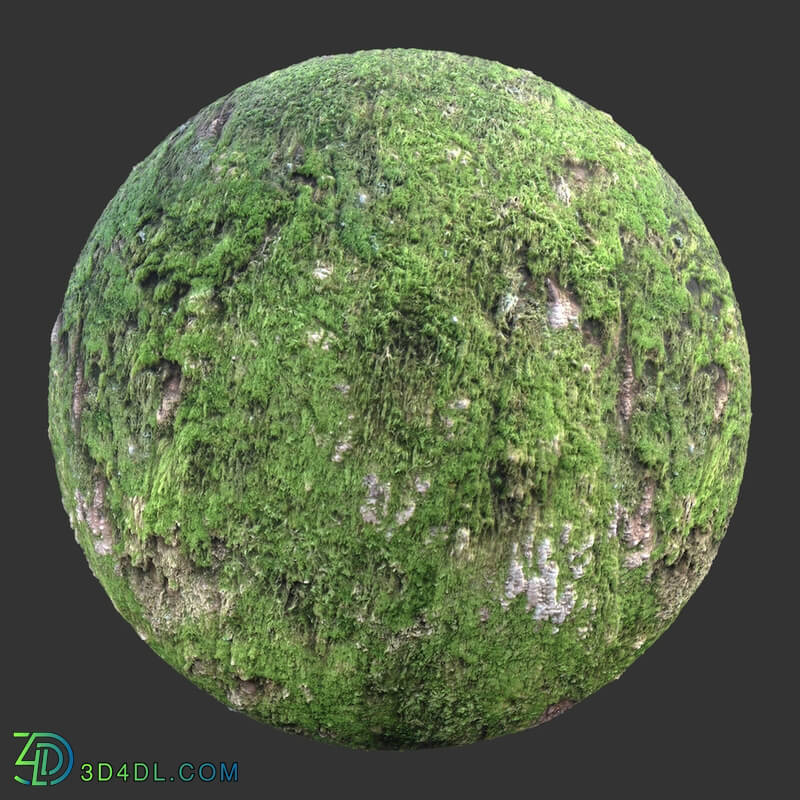 Poliigon Bark Mossy Full _texture_ - - -001