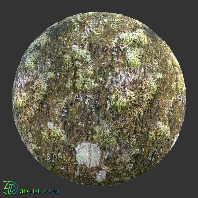 Poliigon Bark Mossy Spotty _texture_ - - -002