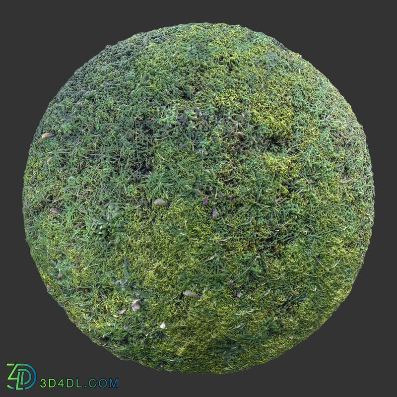 Poliigon Grass Short _texture_ - -001