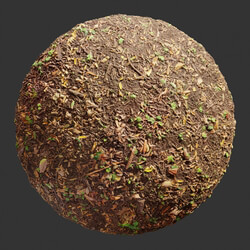Poliigon Ground Dirt Forest _texture_ - - -001 