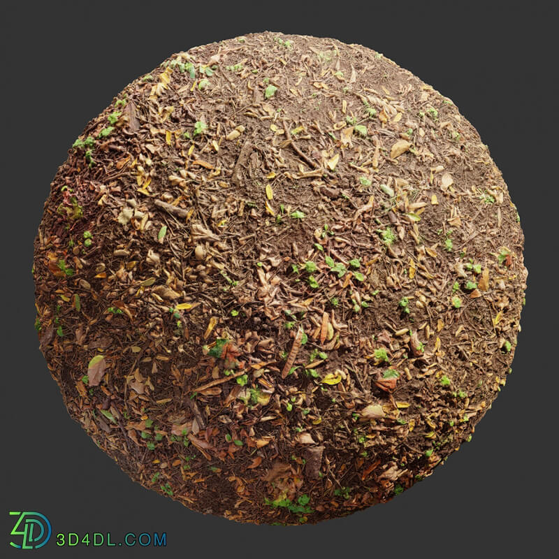 Poliigon Ground Dirt Forest _texture_ - - -001
