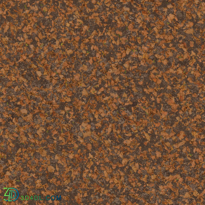 Poliigon Ground Dirt Forest _texture_ - - -003