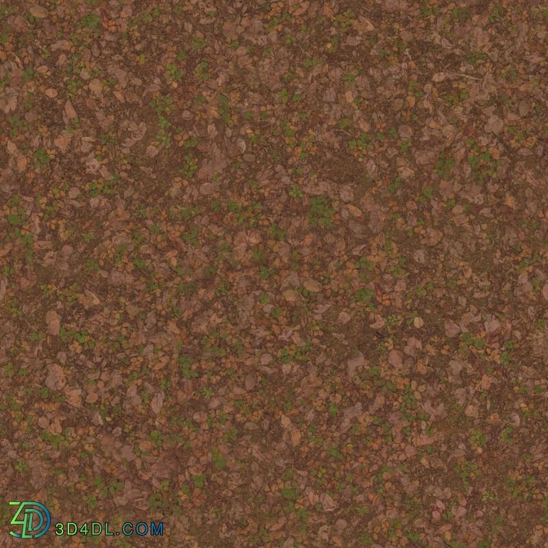 Poliigon Ground Dirt Forest _texture_ - - -005