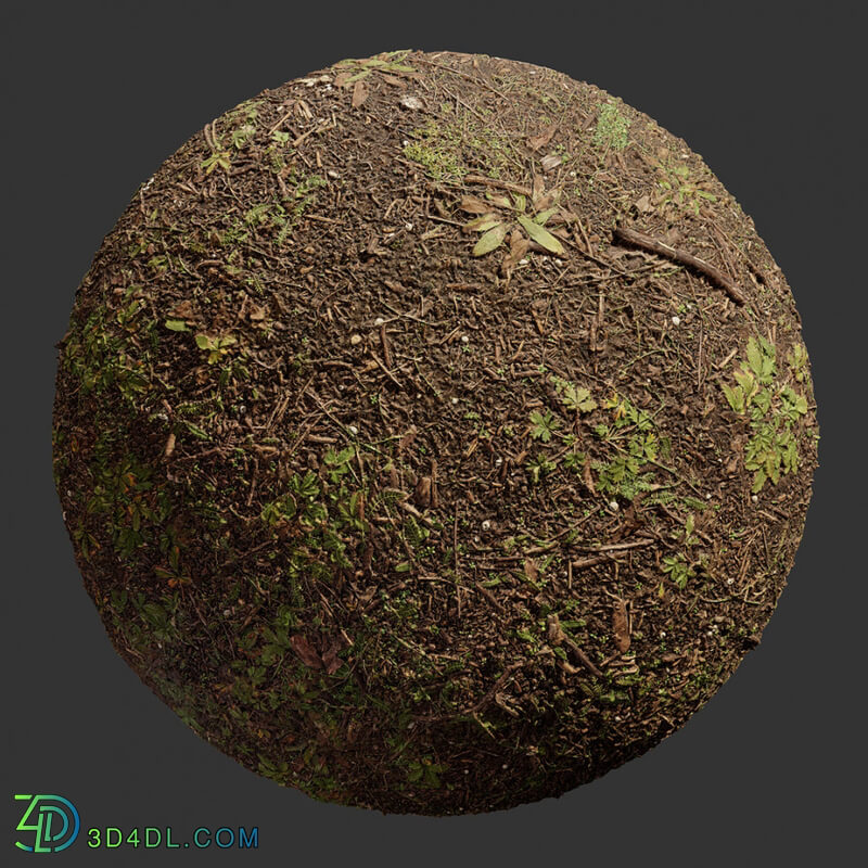 Poliigon Ground Dirt Forest _texture_ - - -007