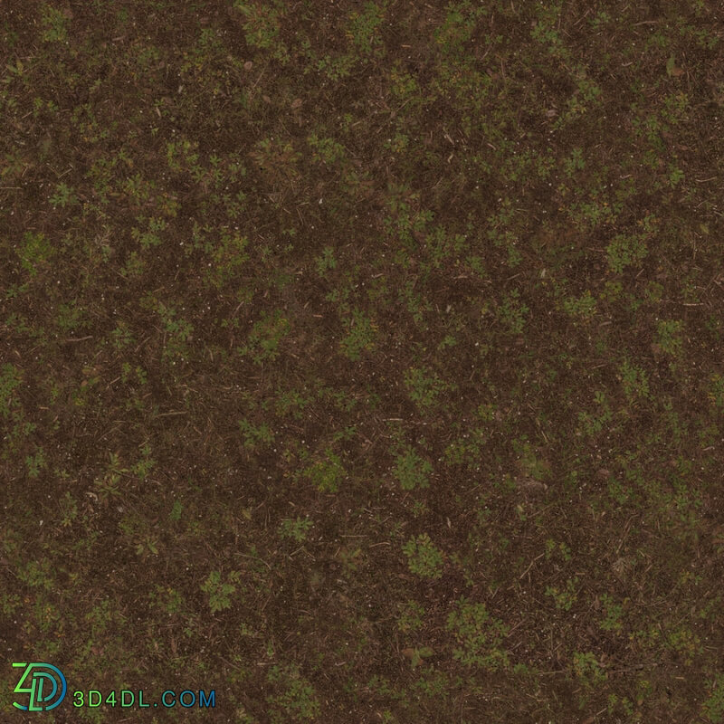 Poliigon Ground Dirt Forest _texture_ - - -007