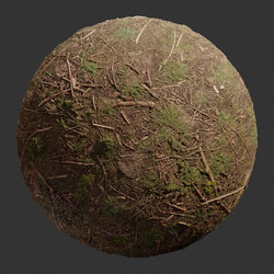 Poliigon Ground Dirt Forest _texture_ - - -010 