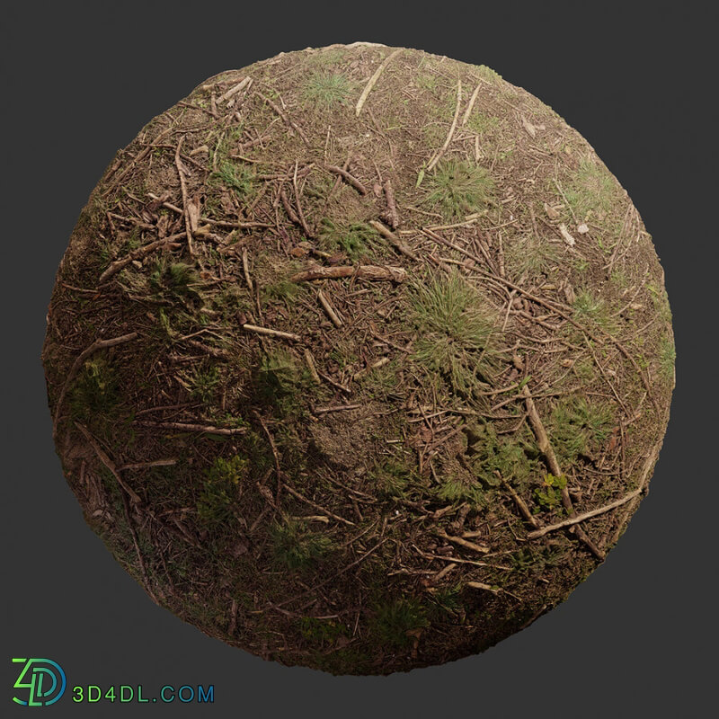 Poliigon Ground Dirt Forest _texture_ - - -010