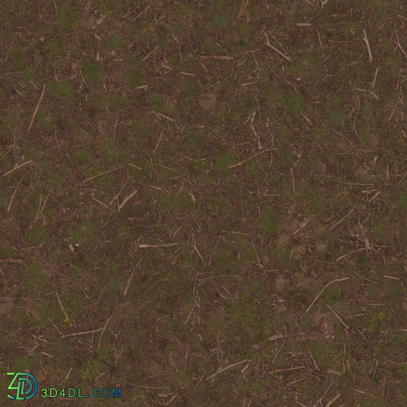 Poliigon Ground Dirt Forest _texture_ - - -010