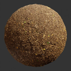Poliigon Ground Dirt Forest Mulch _texture_ - - - -001 