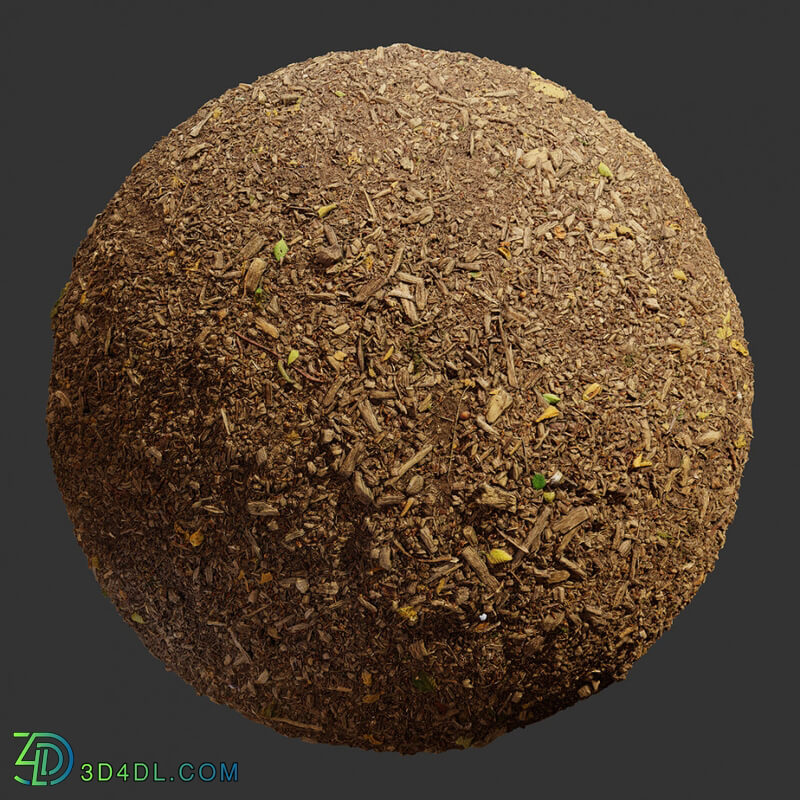 Poliigon Ground Dirt Forest Mulch _texture_ - - - -001