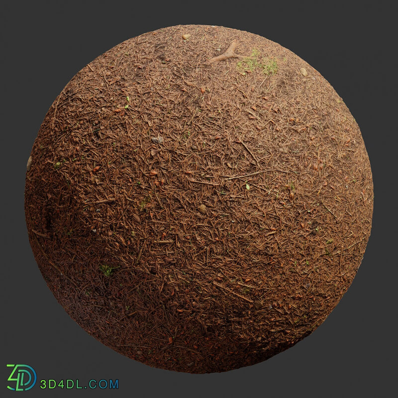 Poliigon Ground Dirt Forest Needles _texture_ - - - -001
