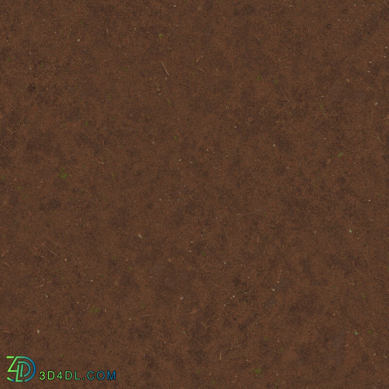 Poliigon Ground Dirt Forest Needles _texture_ - - - -001