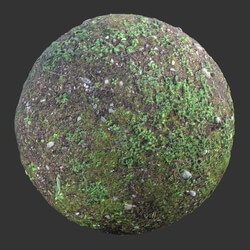 Poliigon Ground Forest _texture_ - -003 