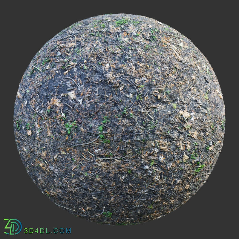 Poliigon Ground Forest _texture_ - -008