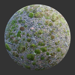 Poliigon Ground Forest Mossy _texture_ - - -002 