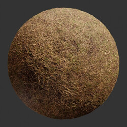 Poliigon Ground Grass Brown _texture_ - - -001 