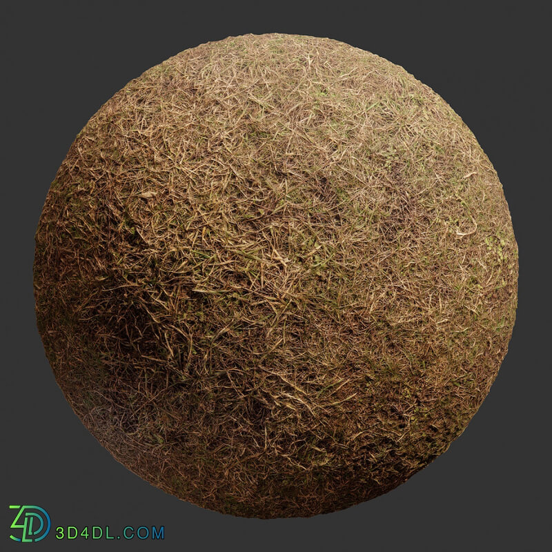 Poliigon Ground Grass Brown _texture_ - - -001