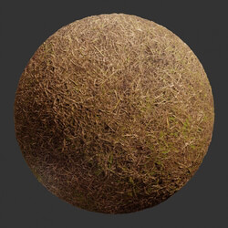 Poliigon Ground Grass Brown _texture_ - - -002 