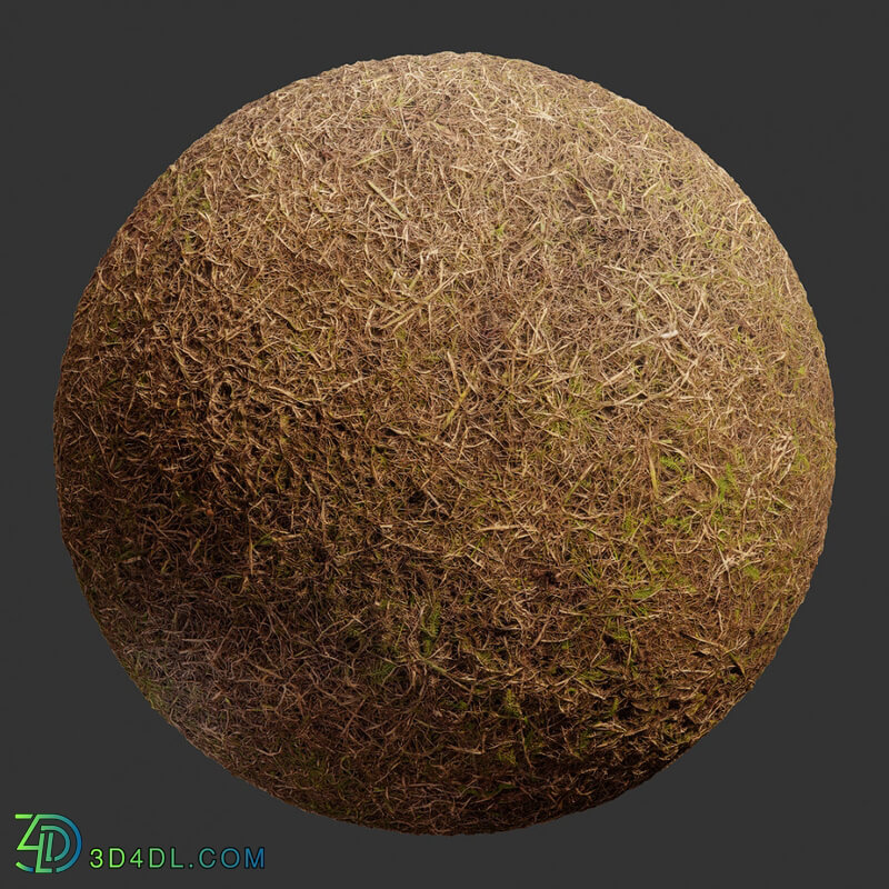 Poliigon Ground Grass Brown _texture_ - - -002