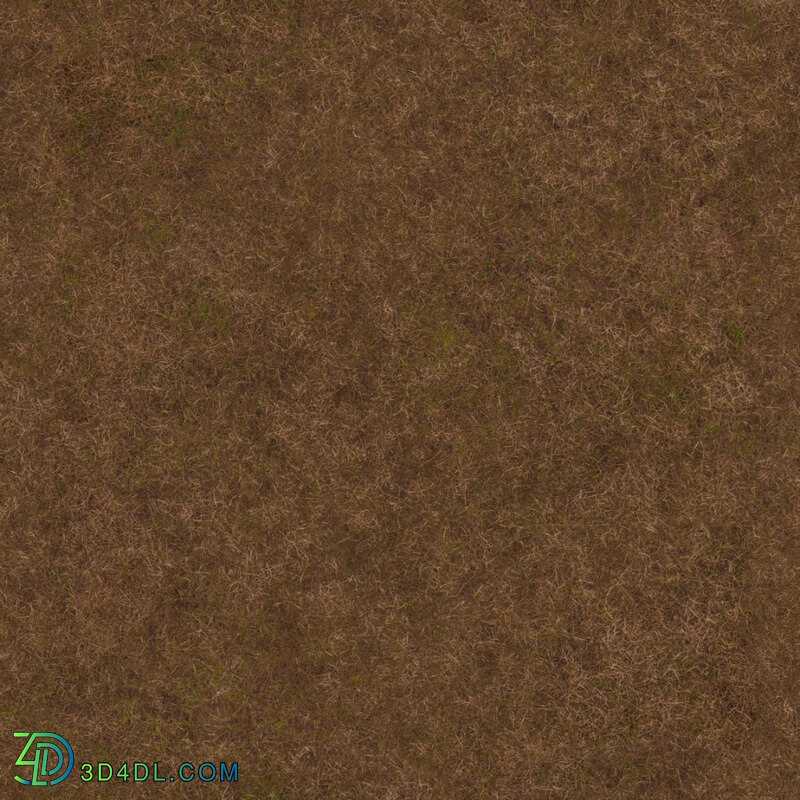 Poliigon Ground Grass Brown _texture_ - - -002