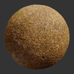 Poliigon Ground Grass Brown _texture_ - - -003 