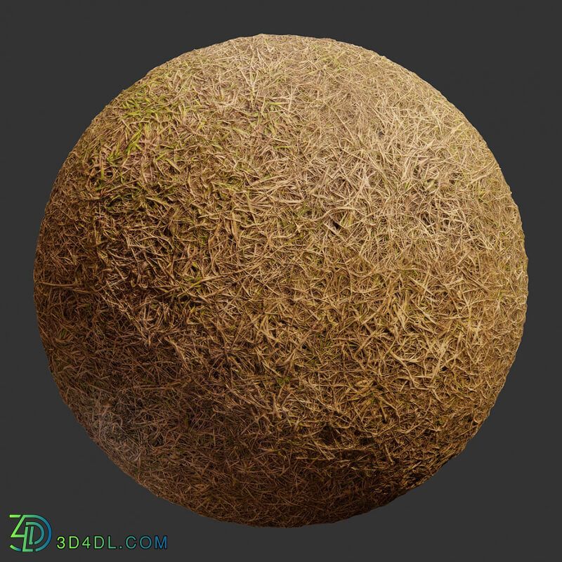 Poliigon Ground Grass Brown _texture_ - - -003
